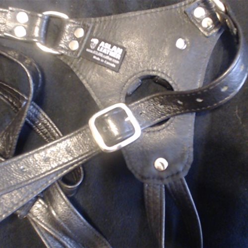 Back of harness, shows off buckles
