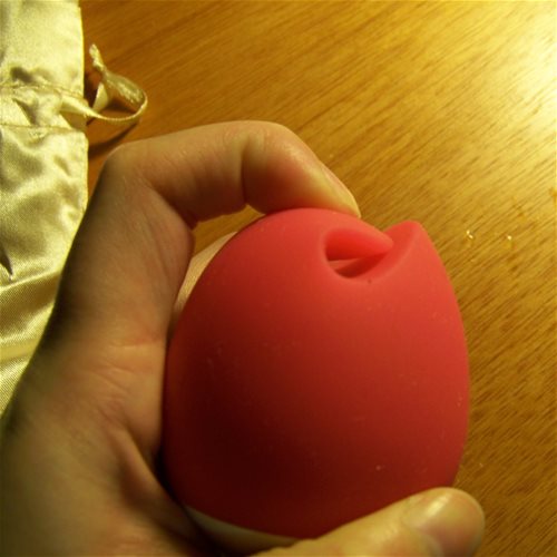 flexible tip