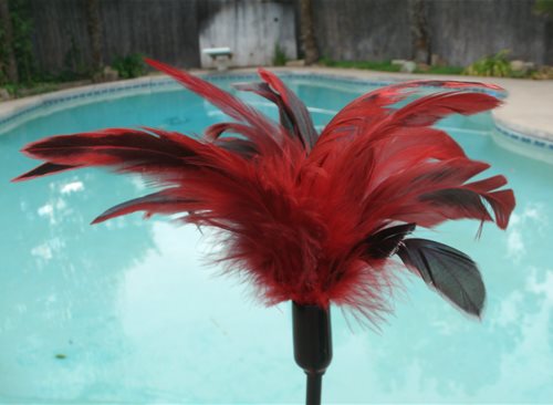 feather head