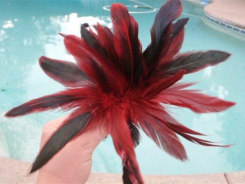 feather top