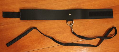 Black leash and collar