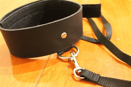 Black leash and collar detail