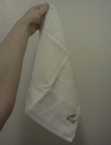 LeafTowel02