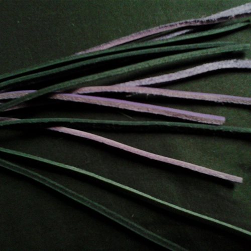 tassels