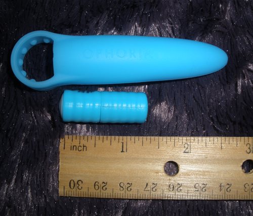 Bullet and sleeve with ruler