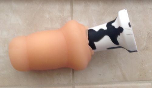 engulfed the cow dildo