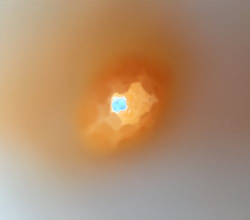 2124
