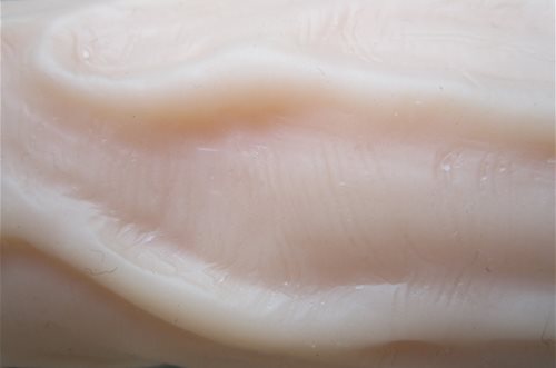texture1