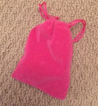 POUCH IT CAME IN