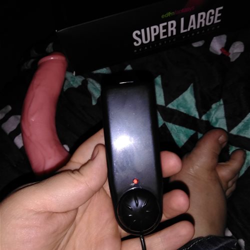 The vibrator control