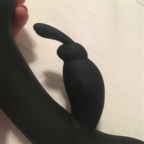 Rabbit details