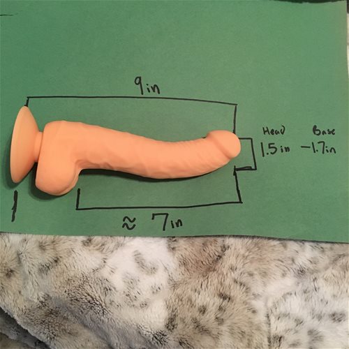 Size