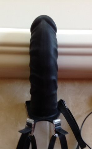 underside view of veins and glans