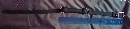 Ruler