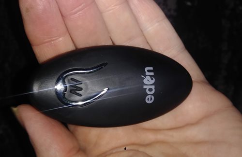 remote