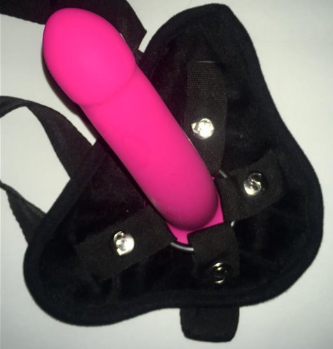 harness 2