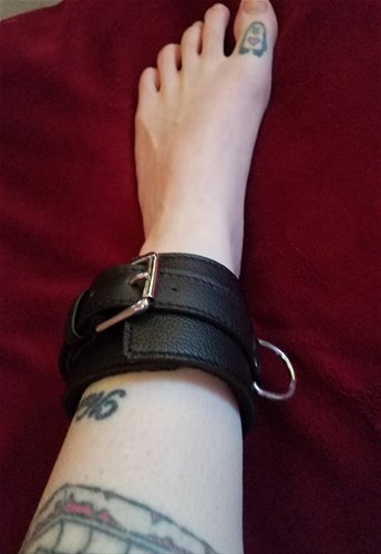 Buckle & Link