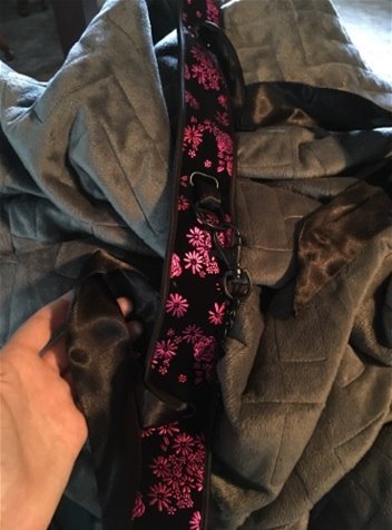 Collar and Leash