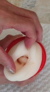 inside the mouth, there is a tongue