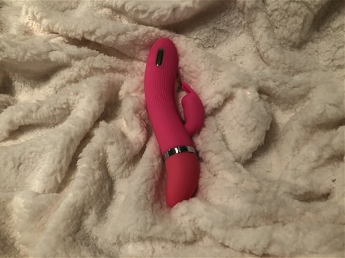 pic of rabbit dildo