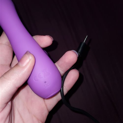 Charging port