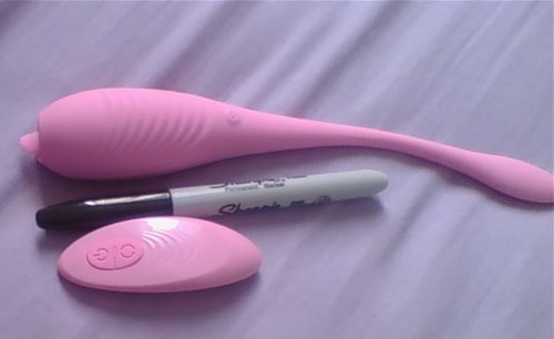 SharpieFriskyLixComparison