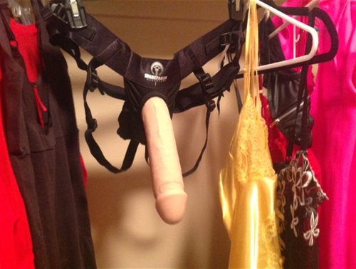 Favorite Harness and Strapon