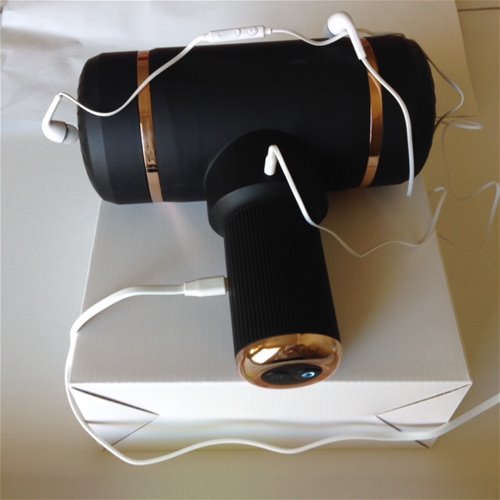 Earphones with Volume / Charging port
