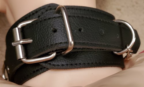 Collar