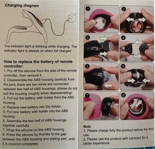 Remote disassembly instructions