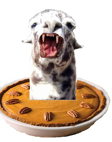 LLAMA PIE