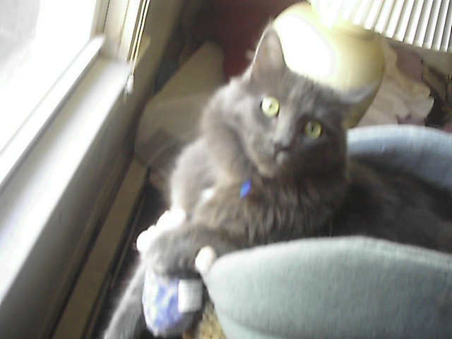 my baby