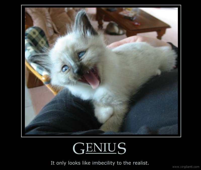 Kitty Genius