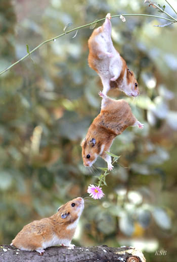 teamwork