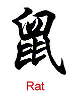 Rat