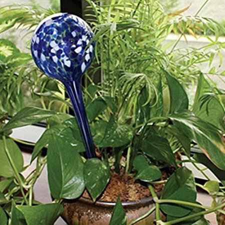 Plant Water...er