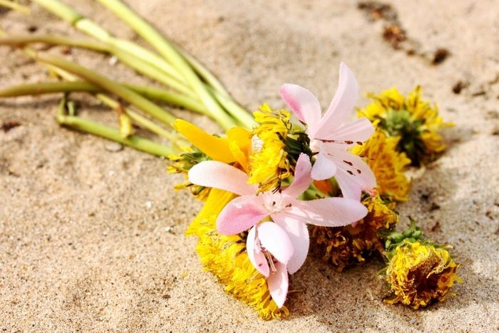Child&#39;s Bouquet
