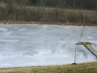 frozen pond