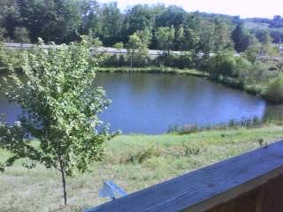 pond3