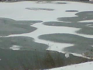 pond frozen