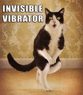I can haz vibe?
