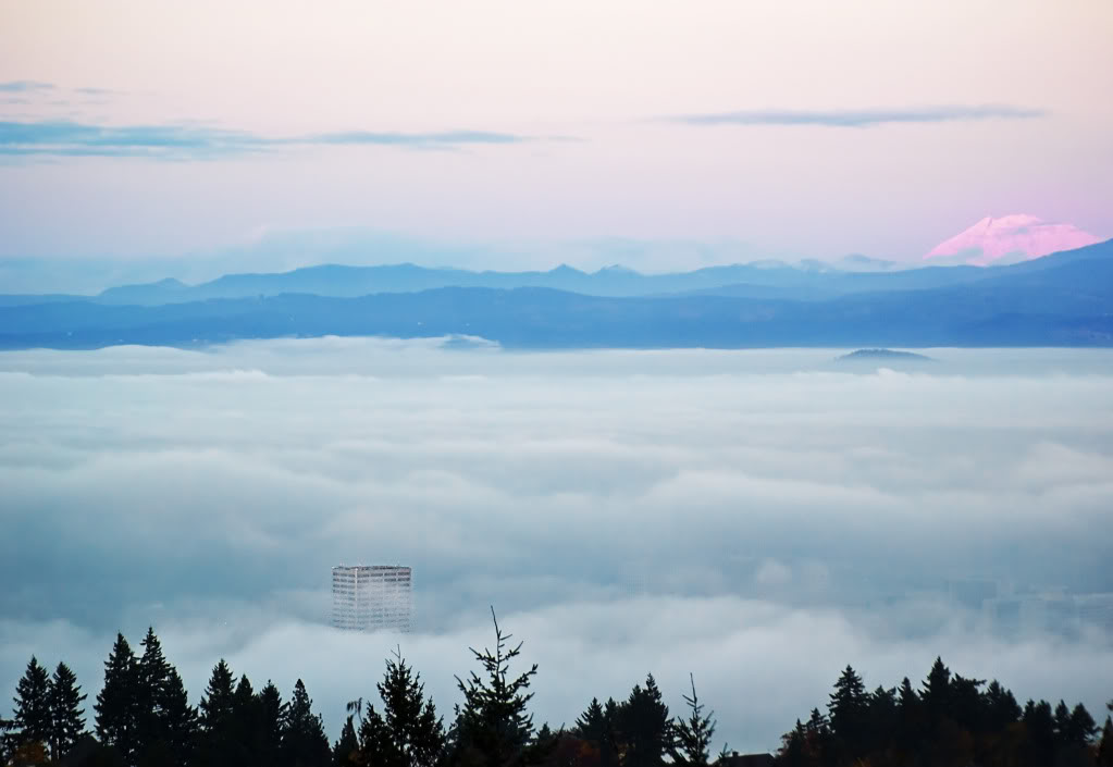 Fog Shrouded Valley