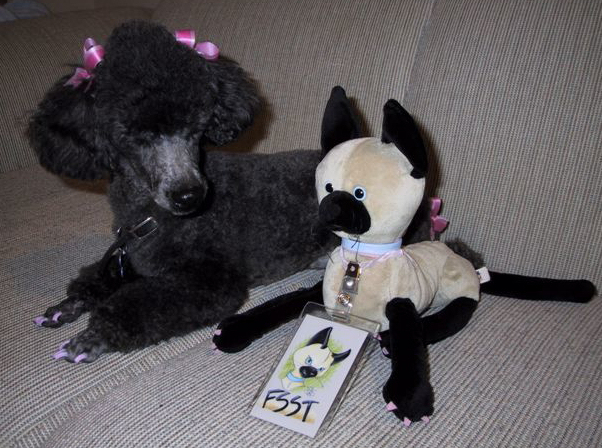 Morgan and Fsst