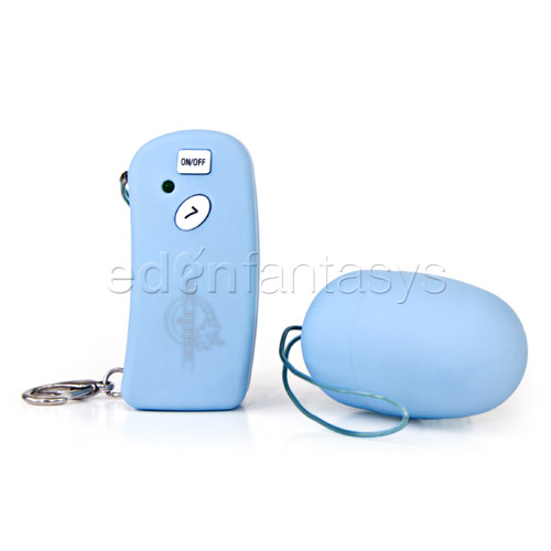 Product: 7 function wireless remote egg