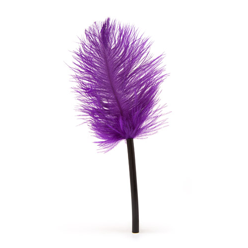 Product: Purple haze tickler