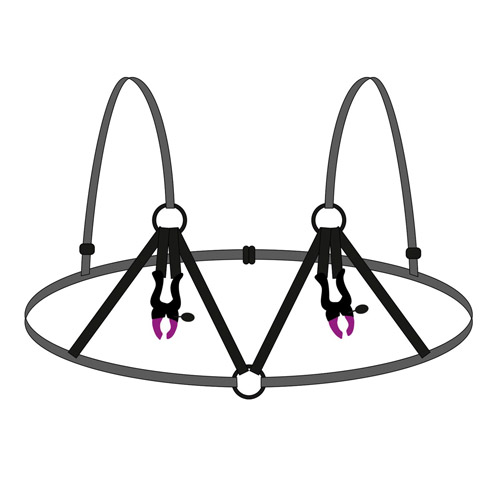 Product: Fetish bra with nipple clamps