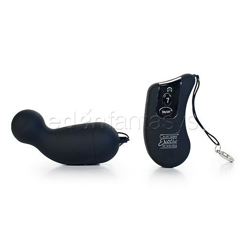 Product: Waterproof 7-Function Remote G