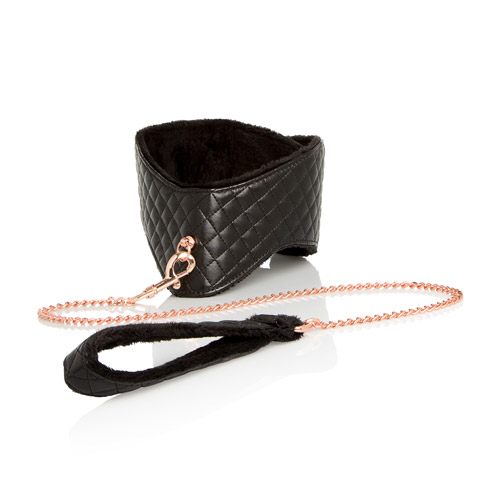 Product: Entice posture collar with leash