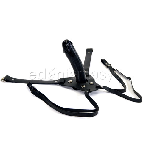 Product: Dual strap harness set