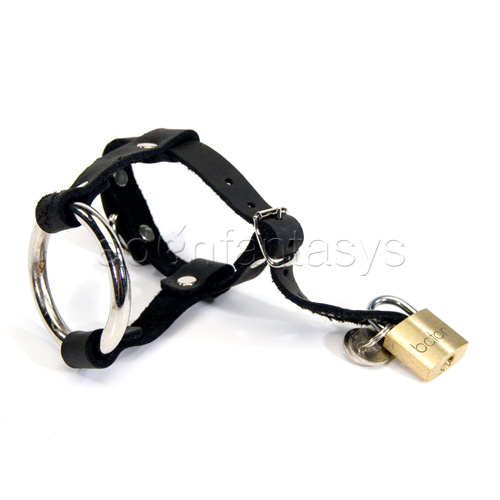 Product: Locking cock & ball harness